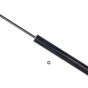 Amortisseurs 5530007