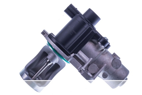 VALVE EGR 038131501AD