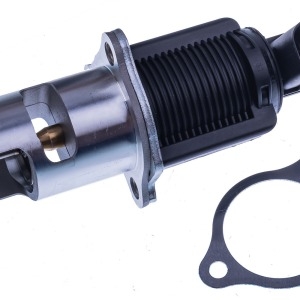 VALVE EGR 7.22818.63.0