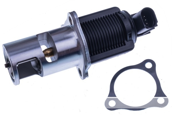 VALVE EGR 7.22818.63.0