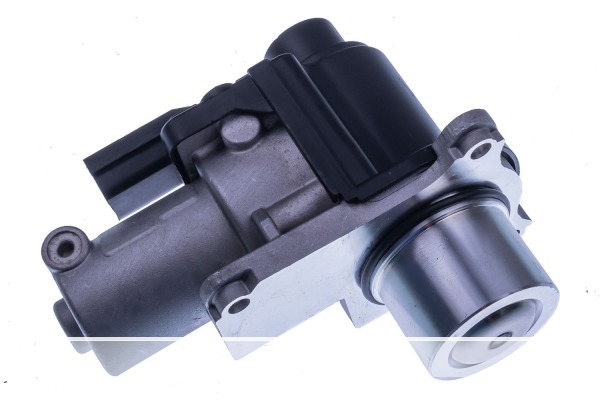 VALVE EGR 7.00907.03.0