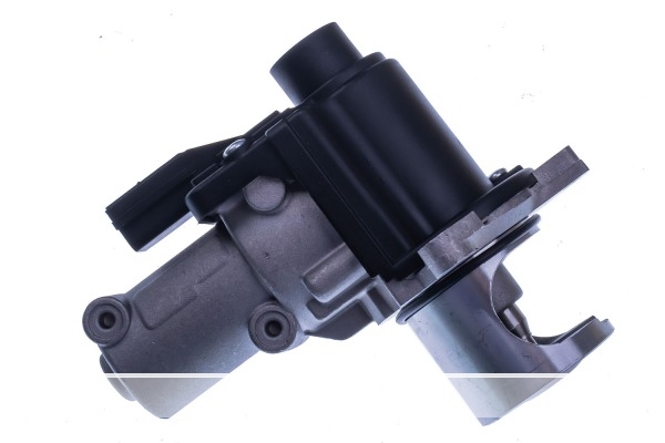 VALVE EGR 7.02132.07.0