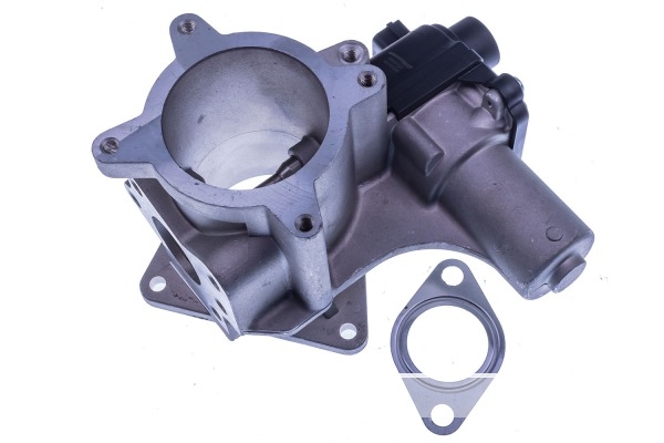 VALVE EGR 7.00823.06.0
