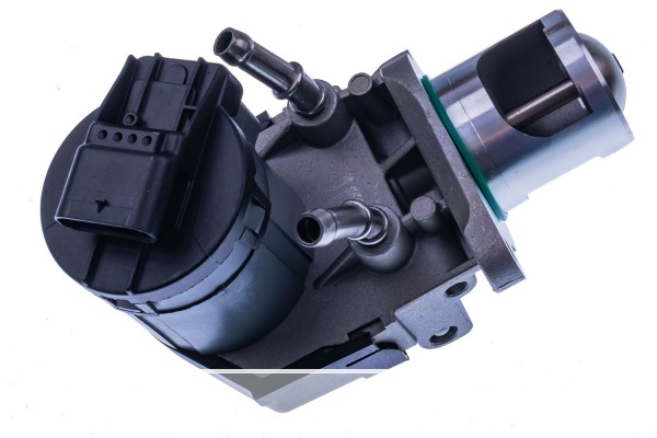 VALVE EGR 7.10334.07.0