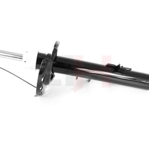AMORTISSEUR ARRIÈRE GAUCHE GAZ LR023244