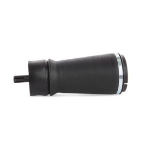 Boule pneumatique Arrière Range Rover Sport L494
