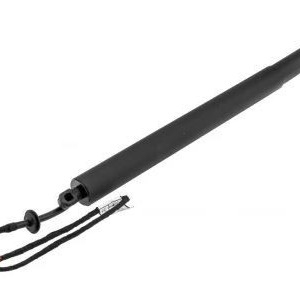 Amortisseur électrique de hayon LR075420