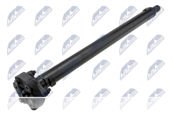 ARBRE CARDAN, NWN-BM-025 /26207556019