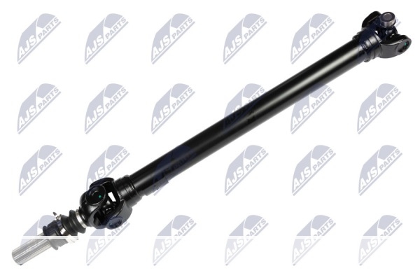 ARBRE CARDAN, NWN-CH-081 /15066916