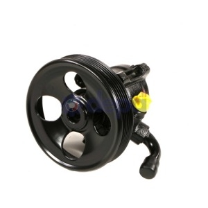 Pompe assistée hydraulique – 491100H900