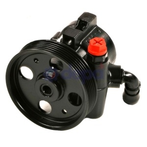 Pompe assistée hydraulique – 491109F500