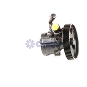Pompe assistée hydraulique – 49110C6000