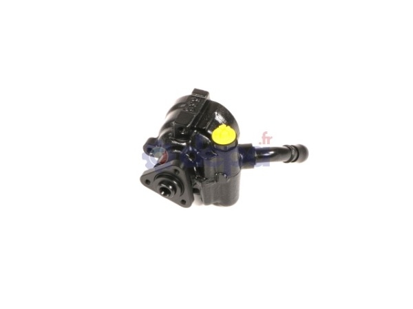 Pompe assistée électrique – 1609864080, 4007ZW , 400897