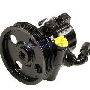 Pompe assistée hydraulique – 52089301AC