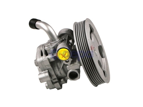 Pompe assistée hydraulique – 49100, 81A40, 0