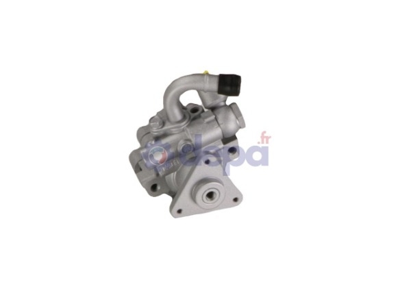 Pompe assistée hydraulique – 491100021R
