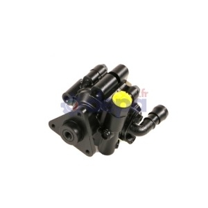 Pompe assistée électrique – 491100033R , 491102118R , 491109313R