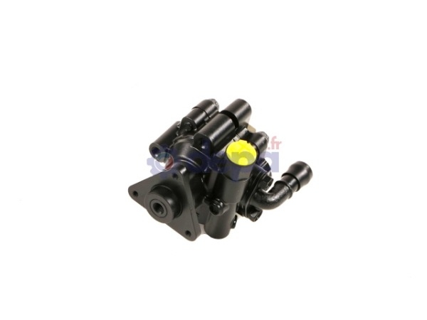 Pompe assistée électrique – 491100033R , 491102118R , 491109313R