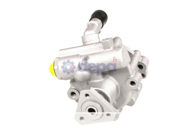 Pompe assistée électrique – 491101295R , 491105358R , 491106619R