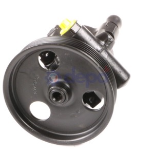 Pompe assistée hydraulique – 491102638R+7700108973 , 7700840724+7700108973,