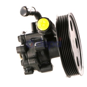Pompe assistée hydraulique – 8E0145155N