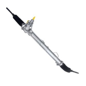 RÉGÉNÉRATION DE LA / 577004D900 ,  577004D510