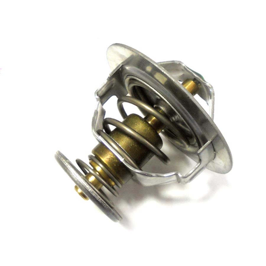21200-96007, Thermostat