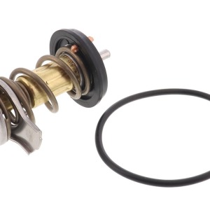 Pièce 504013931, Thermostat, liquide de refroidissement