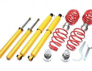 Suspension Opel EVOGWOP11