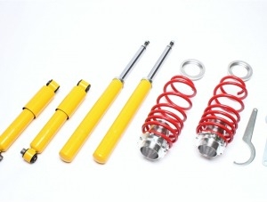 Suspension Citroen / Peugeot EVOGWPE01