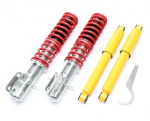 Suspension VW EVOGWVW02
