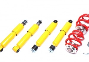 Suspension VW EVOGWVW21