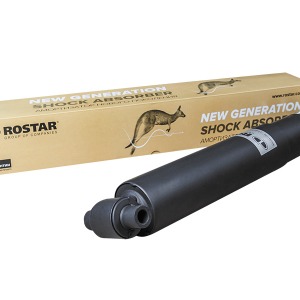 Amortisseurs VOLVO 21127043