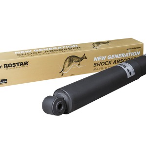 Amortisseurs VOLVO 1605163