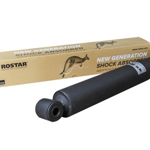 Amortisseurs RENAULT 5010383685