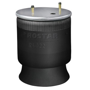 PHOENIX 1DK22E14 Soufflet