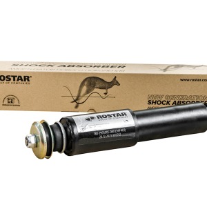 Amortisseurs IRISBUS 504124915