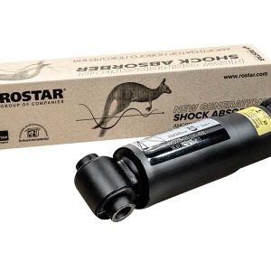 Amortisseurs SAF 2376007002