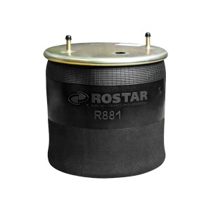 PHOENIX 1DK321 Soufflet