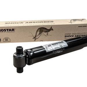 Amortisseurs MAN 81437026077