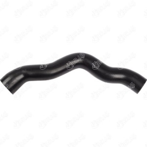 TUYAU DE TURBO 2025012482